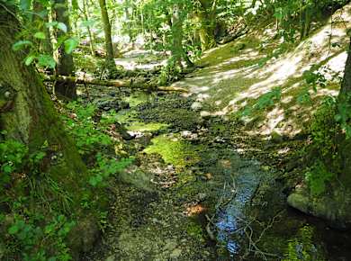 Bingen-Gaulsheim, NABU-Naturschutzzentrum Rheinauen