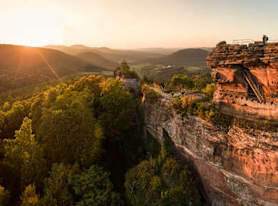 Dahn, Wandern im Pfälzerwald