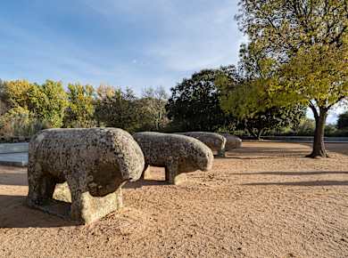 El Tiemblo, Toros de Guisando