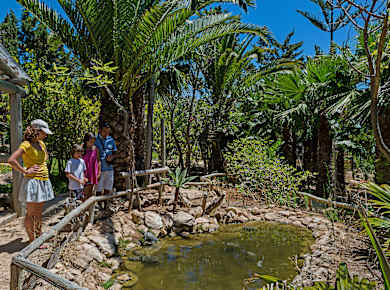 Porto Santo, Quinta das Palmeiras