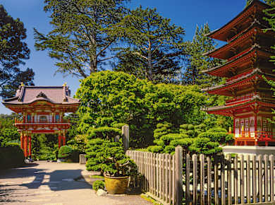 San Francisco, CA, Japanese Tea Garden