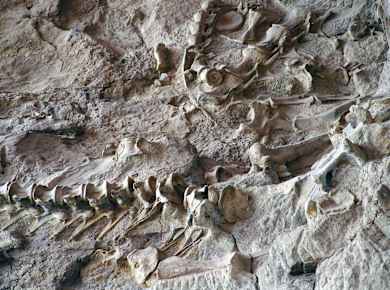 Jensen, UT, Dinosaur National Monument