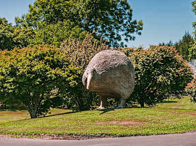 Te Puke / Paengaroa, Kiwifruit Country