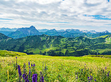 Kleinwalsertal, Blick vom Hohen Ifen