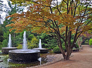 Köln, Forstbotanischer Garten und Friedenswald
