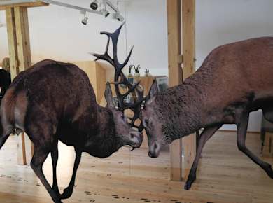 Krems in Kärnten, Pfandlhütte