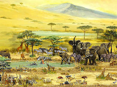 Kulmbach, Deutsches Zinnfigurenmuseum Plassenburg