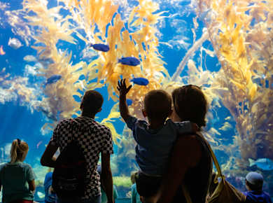 La Jolla, CA, Birch Aquarium Museum