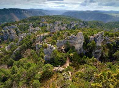 La Roque Ste. Marguerite, Montpellier-le-Vieux