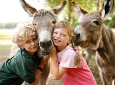 Lauenbrück, LandPark Lauenbrück