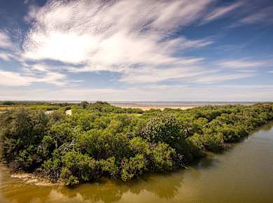 Réserve ornithologique du Teich