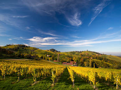 Leutschach, Südsteirische Weinstraße