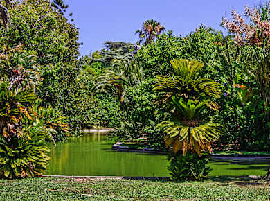 Lissabon, Jardim Botânico Tropical
