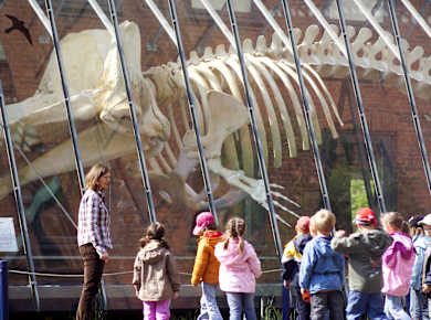 Lübeck, Museum für Natur und Umwelt