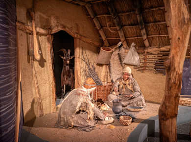 Maaseik, Regionaal Archeologisch Museum