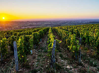 Mâcon, Pays de Lamartine