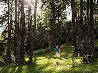 Matrei in Osttirol, Zedlacher Paradies