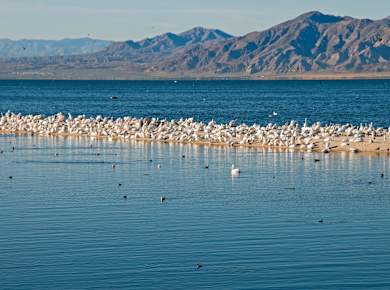 Mecca, CA, Salton Sea