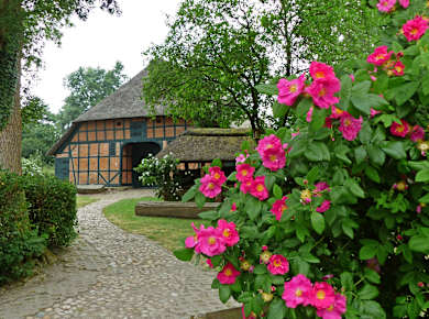 Meldorf, Rosengarten