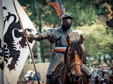 Memmingen, Wallensteinfest