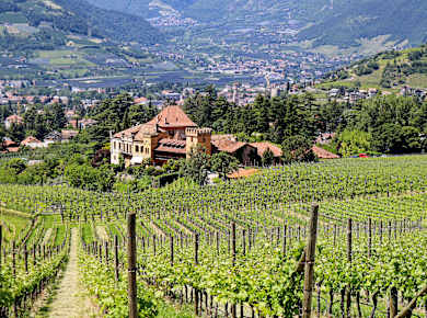 Meran-Obermais, Weingut Schloss Rametz