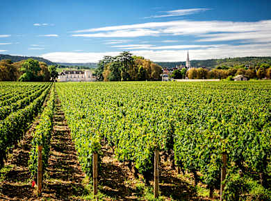Meursault, Château de Meursault