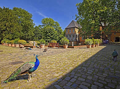 Mönchengladbach, Museum Schloss Rheydt