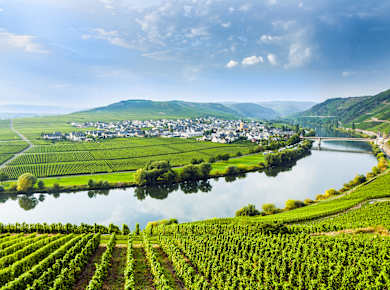Mosel