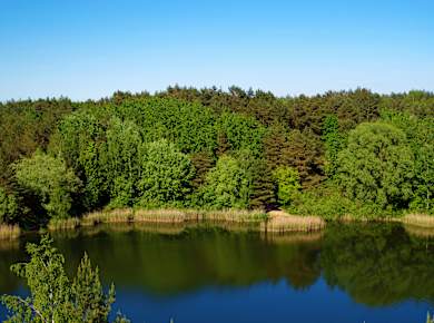 Wielkopolski Park Narodowy