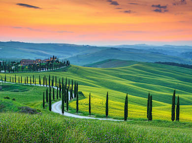 Motorradtour Toskana: Zypressen und Chianti-Gebiet