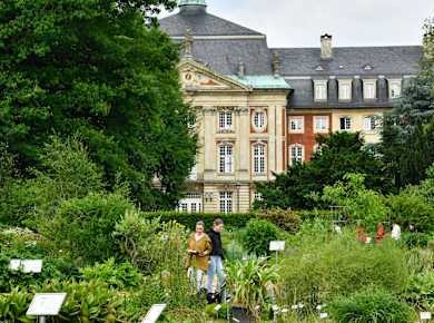 Münster, Botanischer Garten im Schlossgarten