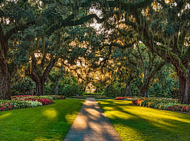 Murrells Inlet, SC, Brookgreen Gardens