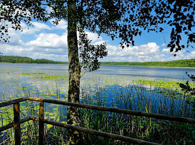 Müritz-Nationalpark