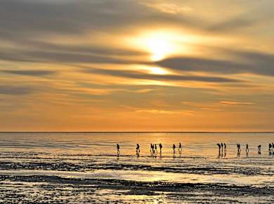 Nationalpark Niedersächsisches Wattenmeer