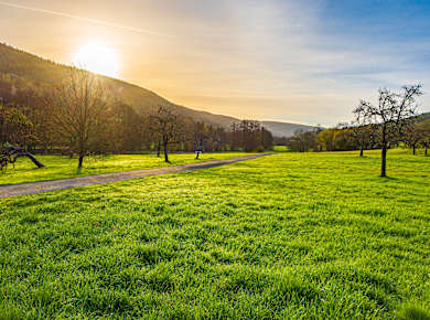 Gemünden am Main, Naturpark Hessischer Spessart