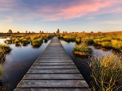 Naturpark Hohes Venn-Eifel