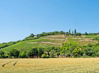 Naturpark Saale-Unstrut-Triasland