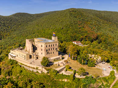 Neustadt an der Weinstraße, Hambacher Schloss