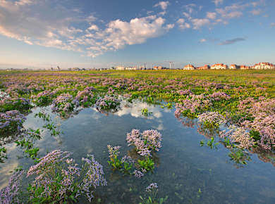 Nieuwpoort, Naturschutzgebiet Ijzermündung