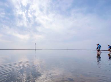 Norddorf/Amrum, Wattwanderung Amrum - Föhr