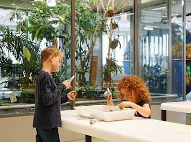 Nürnberg, Kindermuseum