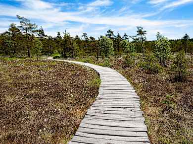 Oberelsbach, Naturpark Bayerische Rhön