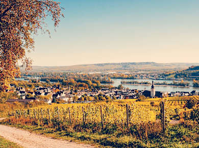 Oberes Mittelrheintal