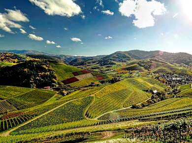 Offenburg, Ins nördliche Elsass