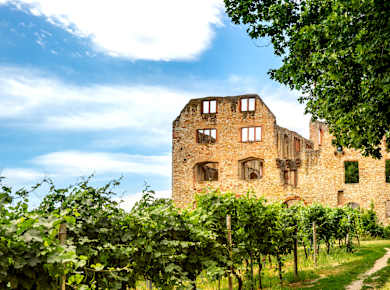 Oppenheim, Burgruine Landskron