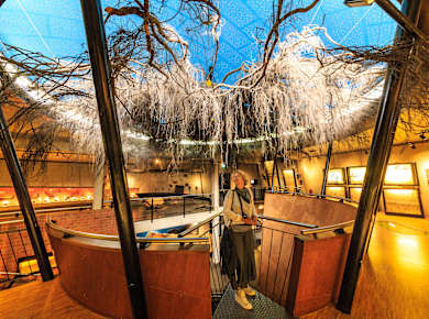 Otterloo, Het Museonder