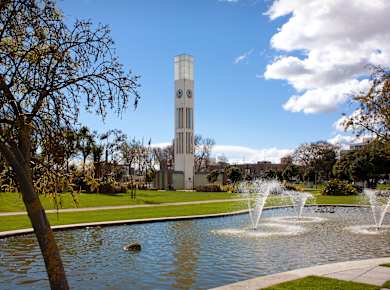Palmerston North