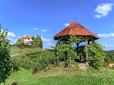 Weinstraßen in Slowenien