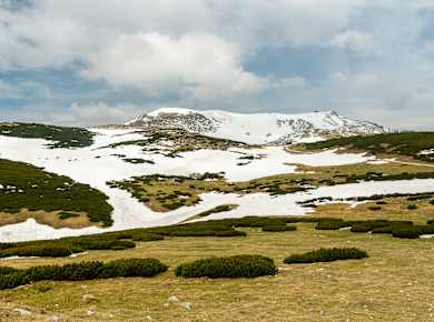 Puchberg am Schneeberg, Schneeberg