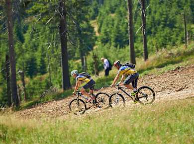 Quedlinburg, Radfahren und Mountainbiken im Harz